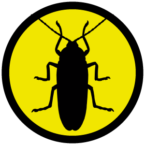 02-cucaracha
